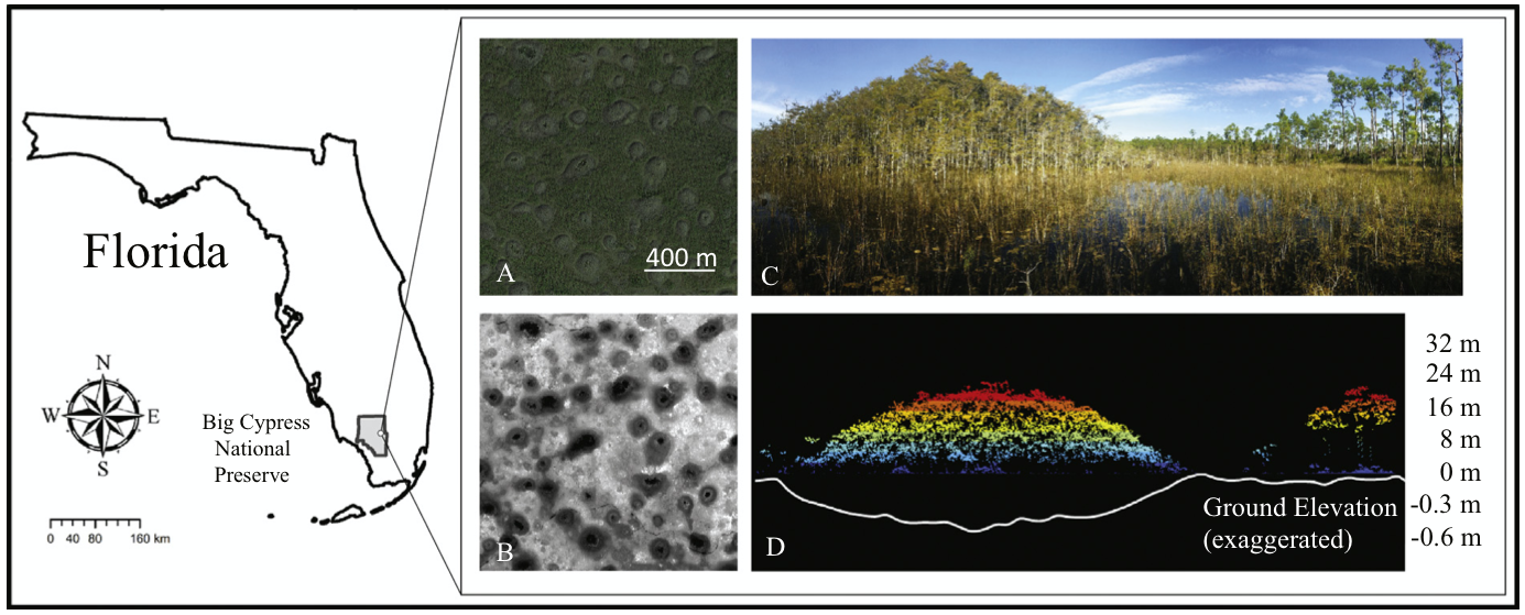 mass-balance-implies-holocene-development-of-a-low-relief-karst