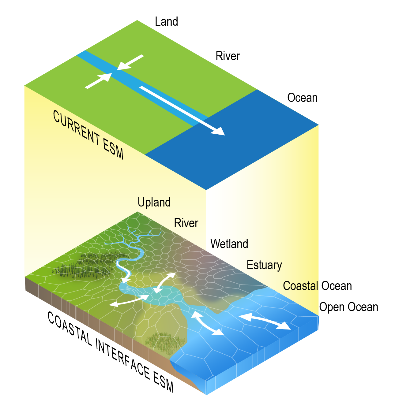 Representing the function and sensitivity of coastal interfaces in Earth System Models Ward
