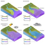 Biogeochemical changes in estuaries